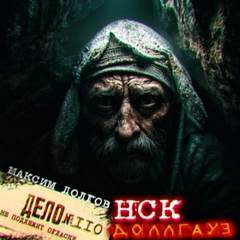 НСК дело № 110. Доллгауз - Долгов Максим НСК дело № 110. Доллгауз — Долгов Максим