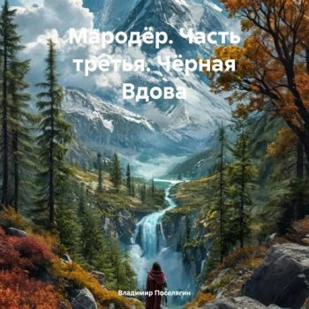Мародёр. Часть третья. Чёрная Вдова - Поселягин Владимир Мародёр. Часть третья. Чёрная Вдова — Поселягин Владимир