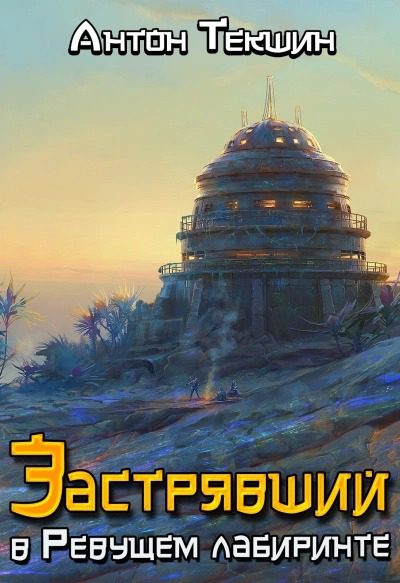 Застрявший. Книга 4. Застрявший в Ревущем лабиринте — Текшин Антон