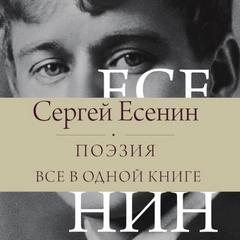 Поэзия. Все в одной книге - Есенин Сергей
