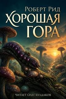 Хорошая гора - Рид Роберт
