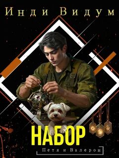 Петя и Валерон. Книга 6. Набор — Видум Инди