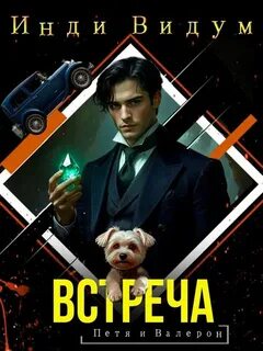 Петя и Валерон. Книга 7. Встреча — Видум Инди