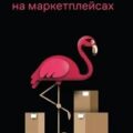 Нейросети для торговли на маркетплейсах — Халилов Дамир