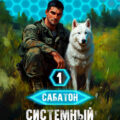 Системный приручитель 1 — Пислегин Алексей, Сластин Артем