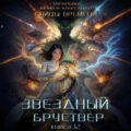 Бойцы времени. Книга 5 — Тарарев Юрий, Тарарев Александр