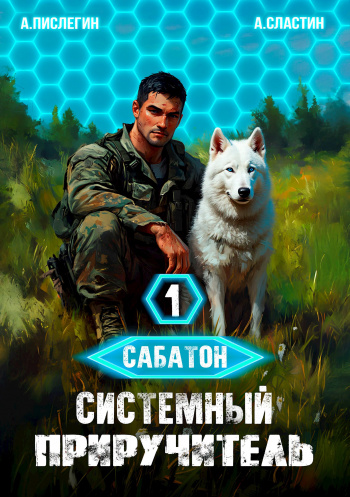 Системный приручитель 1 — Пислегин Алексей, Сластин Артем