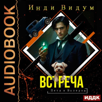 Встреча — Видум Инди