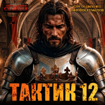 Тактик 12 — Кулабухов Тимофей, Шиленко Сергей