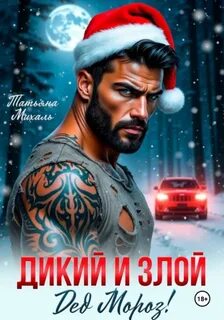 Дикий и злой Дед Мороз! — Михаль Татьяна