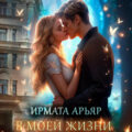 В моей жизни прошу винить… — Арьяр Ирмата
